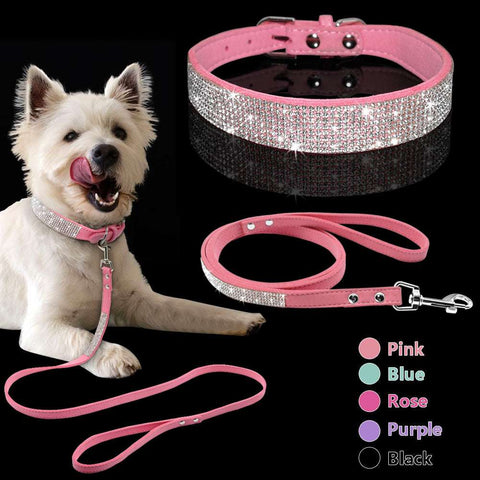 Hot Dog Collar – Shiny Diamond Style for All Seasons (XS–M)