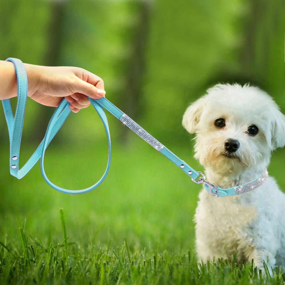 Hot Dog Collar – Shiny Diamond Style for All Seasons (XS–M)