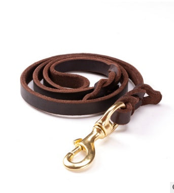 A coiled brown leather dog leash with a gold-colored metal clasp.