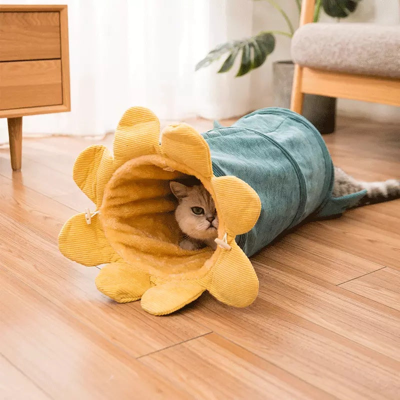 Creative Fruit Cat Tunnel Toy – Funny Pet Tunnel for Cats, Puppies, Ferrets & Rabbits | PetsDrift