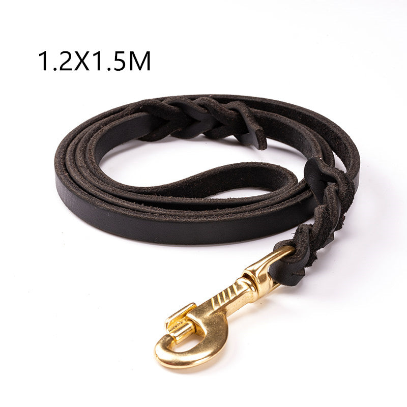 A coiled brown leather dog leash with a gold-colored metal clasp.