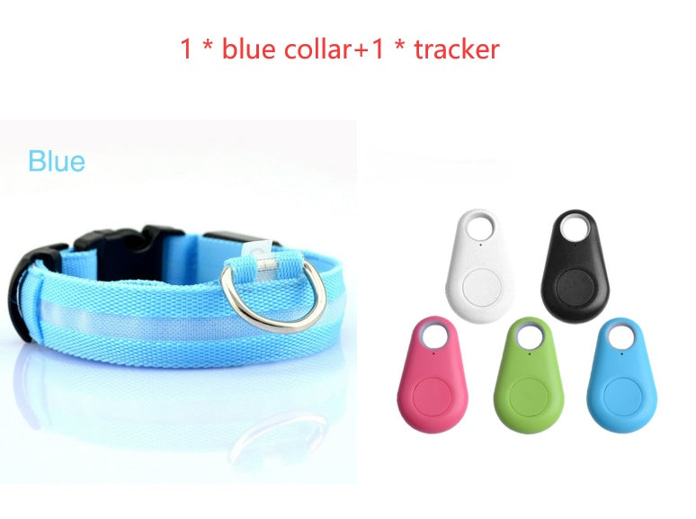 LED light up dog collar with flashing modes