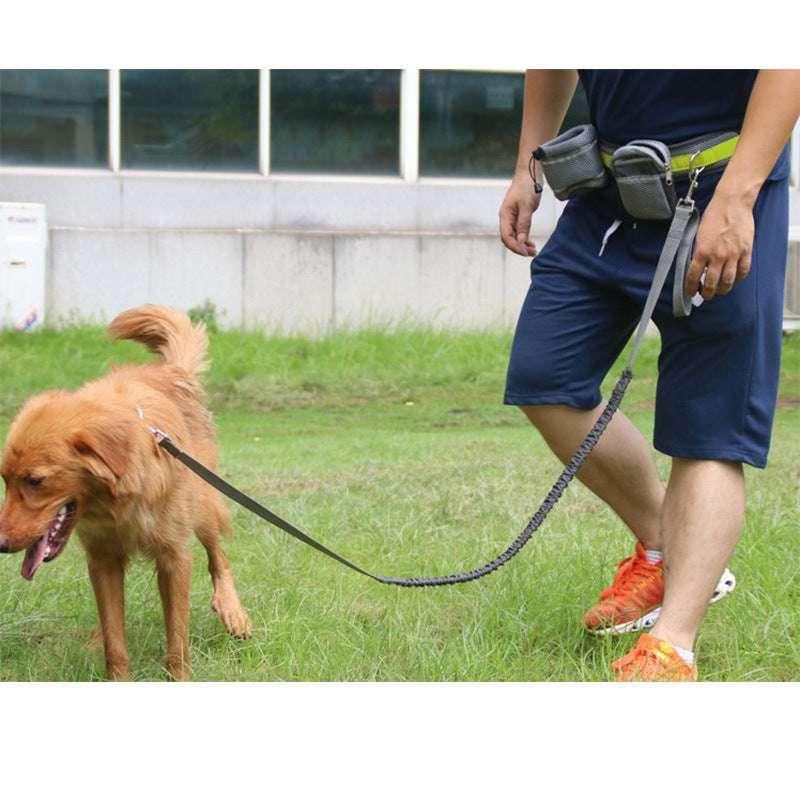 black hands-free dog leash with storage bag