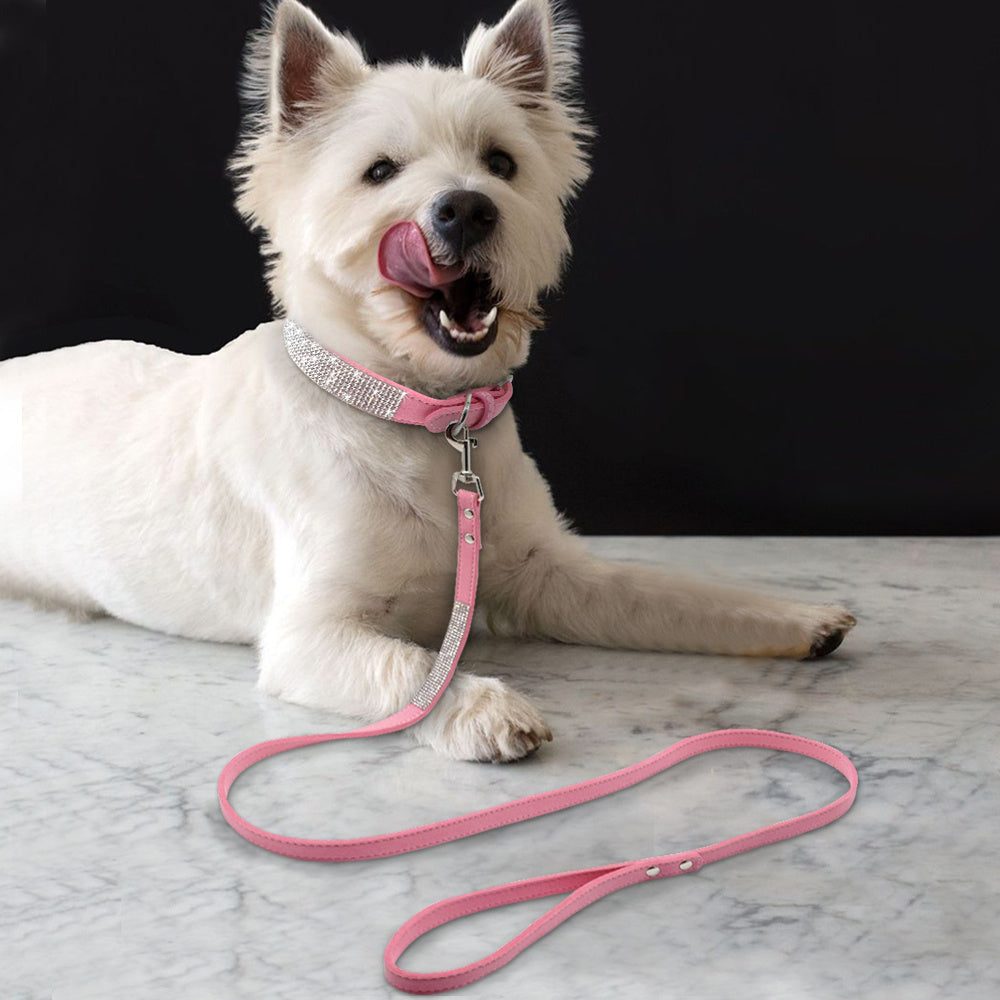 Hot Dog Collar – Shiny Diamond Style for All Seasons (XS–M)