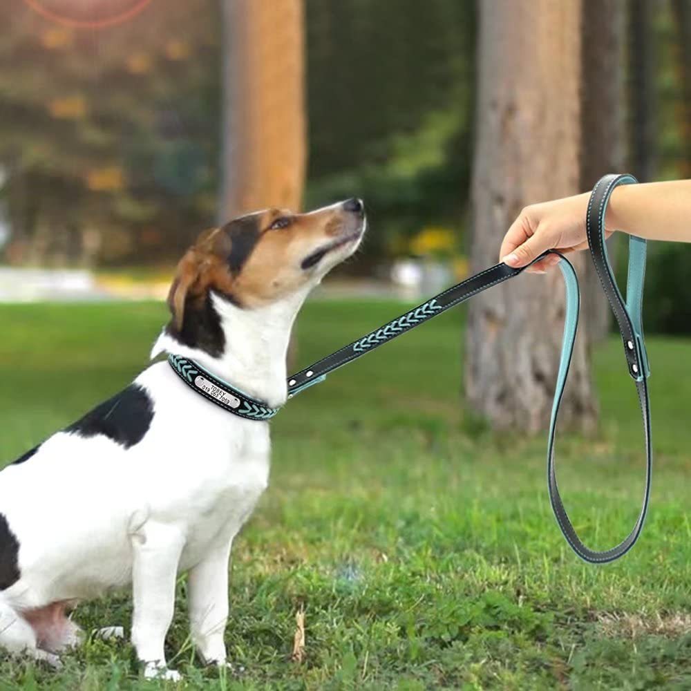 Engraving Anti-Lost Dog Tag Collar – Personalized Leather Puppy Collar