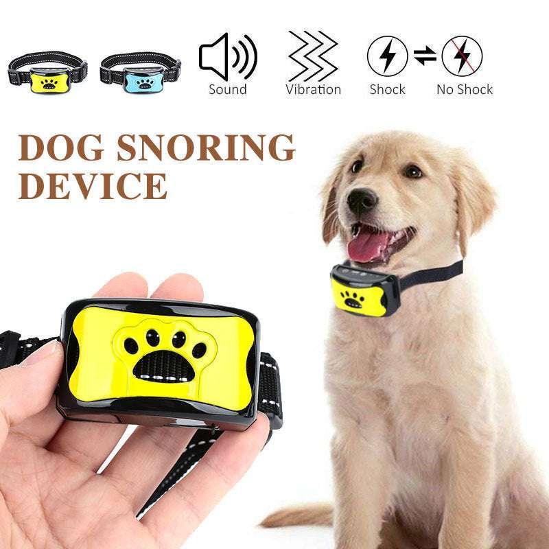 best dog training collar with remote control