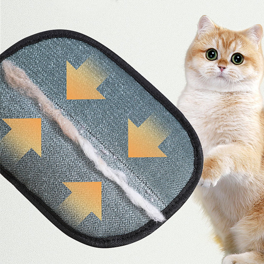 Pet Hair Remover Glove – Gentle Grooming & Deshedding Mitt for Cats & Dogs | PetsDrift