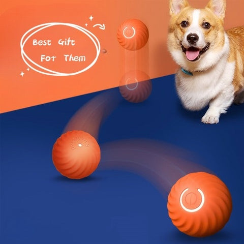 Pet Dog Rubber Ball Toys – Chew Resistant & Training Exercise Balls | PetsDrift