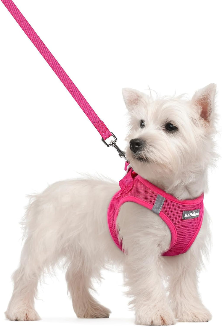 rabbitgoo Small Dog Harness & Leash Set – Step-In Soft Breathable Mesh Vest with Reflective Strips, Rose Red