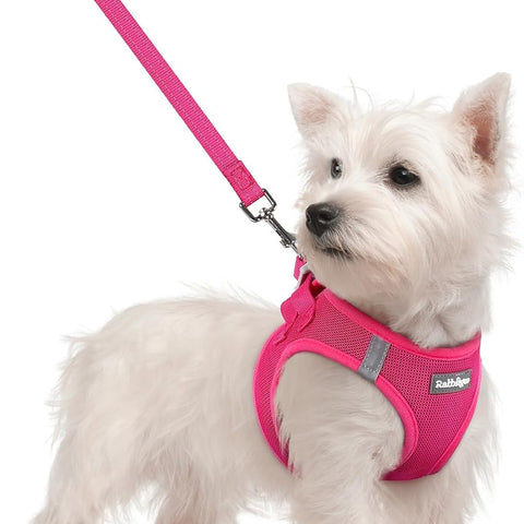 rabbitgoo Small Dog Harness & Leash Set – Step-In Soft Breathable Mesh Vest with Reflective Strips, Rose Red