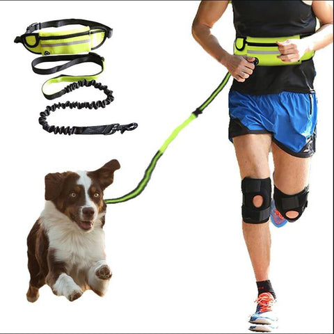 hands free dog leash belt with phone and bottle holder