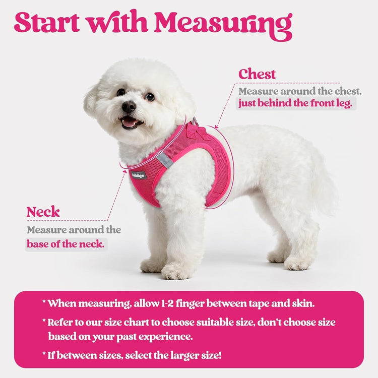 rabbitgoo Small Dog Harness & Leash Set – Step-In Soft Breathable Mesh Vest with Reflective Strips, Rose Red
