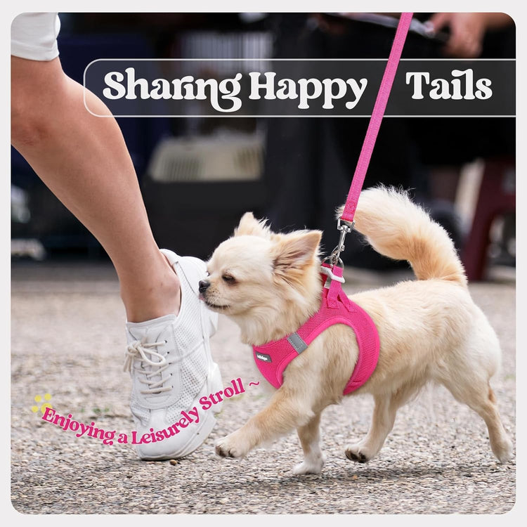 rabbitgoo Small Dog Harness & Leash Set – Step-In Soft Breathable Mesh Vest with Reflective Strips, Rose Red