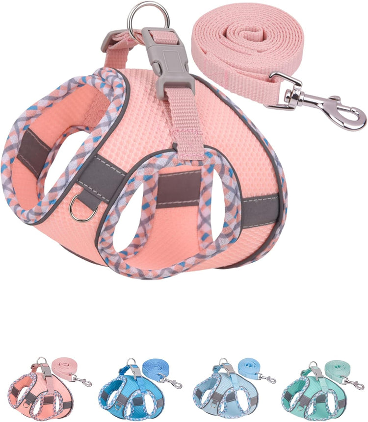 Petank No-Pull Dog Harness & Leash Set – Step-In Vest for Small & Medium Dogs, Walking, Running & Training, Pink (XXS)