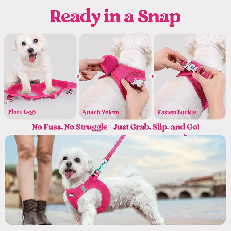 rabbitgoo Small Dog Harness & Leash Set – Step-In Soft Breathable Mesh Vest with Reflective Strips, Rose Red