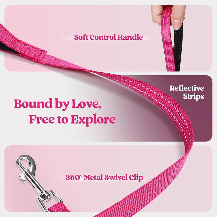 rabbitgoo Small Dog Harness & Leash Set – Step-In Soft Breathable Mesh Vest with Reflective Strips, Rose Red