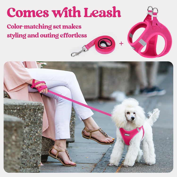 rabbitgoo Small Dog Harness & Leash Set – Step-In Soft Breathable Mesh Vest with Reflective Strips, Rose Red
