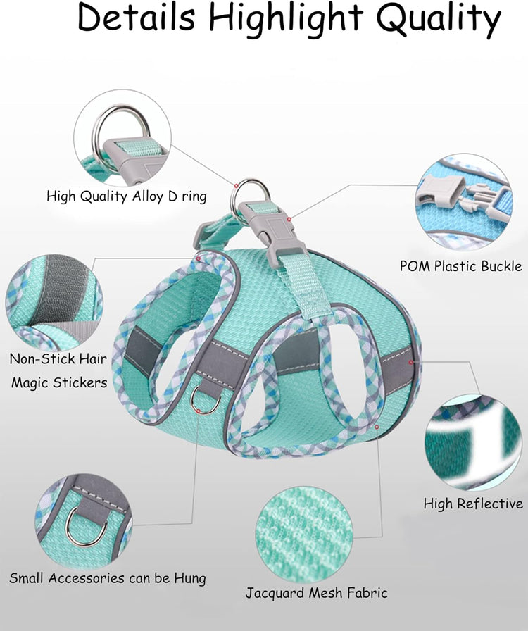 Petank No-Pull Dog Harness & Leash Set – Step-In Vest for Small & Medium Dogs, Walking, Running & Training, Pink (XXS)