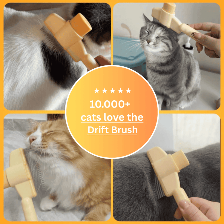 PetDrift™ Pet Fur Remover – Pain-Free