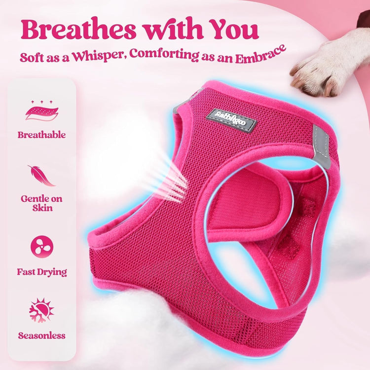 rabbitgoo Small Dog Harness & Leash Set – Step-In Soft Breathable Mesh Vest with Reflective Strips, Rose Red