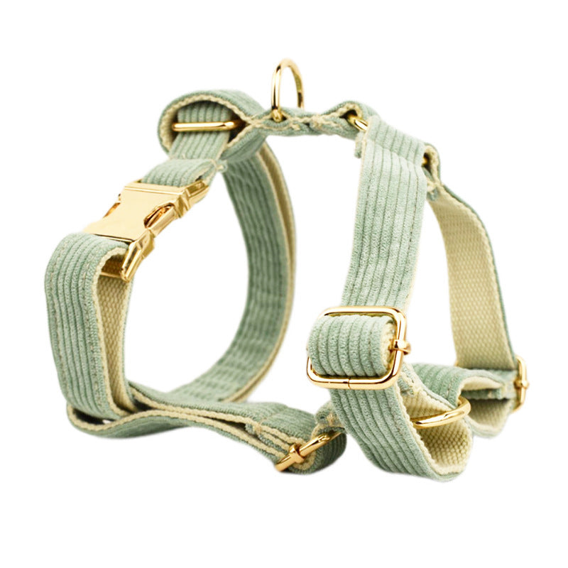 A set of dog pet accessories including a collar, leash, bow, flower decoration, and a vest, all in green with a gold leaf pattern.