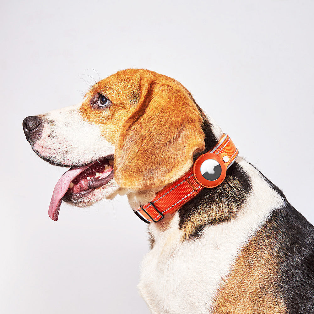 AirTag Pet Collar – Anti-Lost Nylon Dog & Cat Collar with AirTag Holder