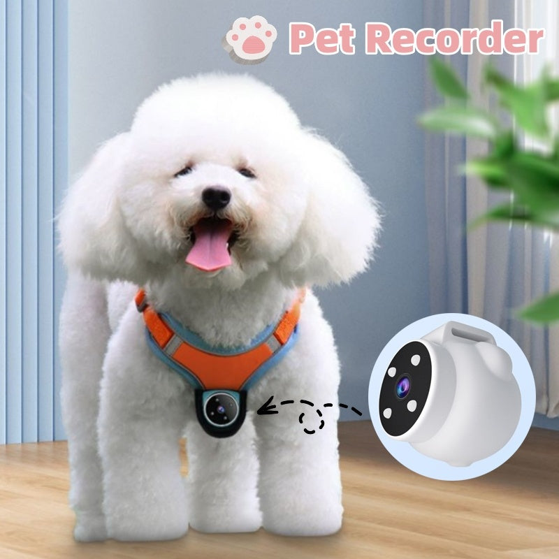 Cat Camera Collar – Motion Recording Pet Collar Camera for Cats & Dogs
