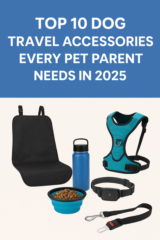 Top 10 Dog Travel Accessories Every Pet Parent Needs in 2025