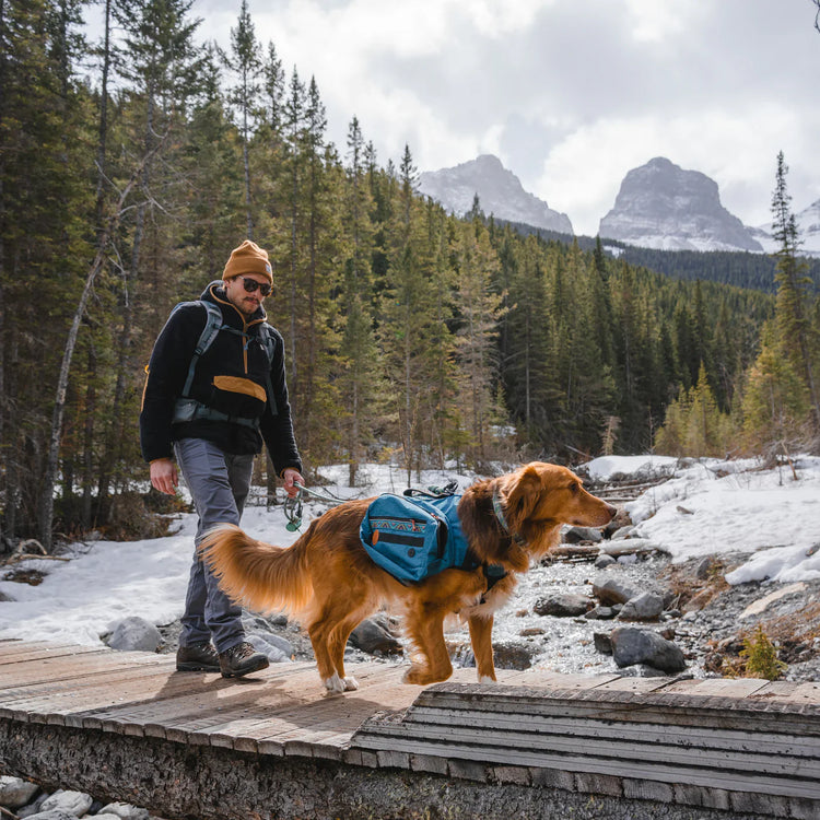 pet outdoor gear