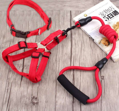 dog chain leash with collar and chest harness