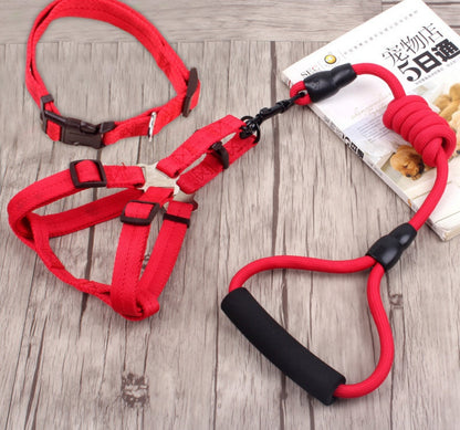 dog chain leash with collar and chest harness