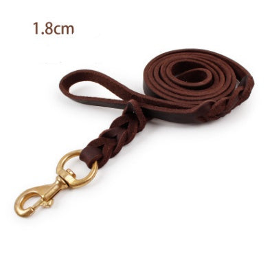 A coiled brown leather dog leash with a gold-colored metal clasp.