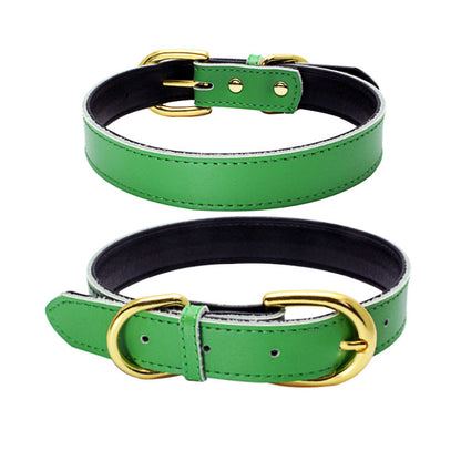Cowhide leather dog collar with metal buckle