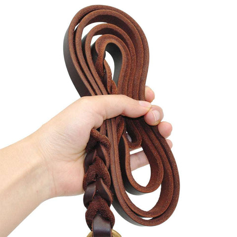 A coiled brown leather dog leash with a gold-colored metal clasp.
