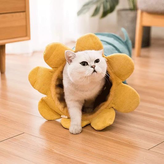 Creative Fruit Cat Tunnel Toy – Funny Pet Tunnel for Cats, Puppies, Ferrets & Rabbits | PetsDrift