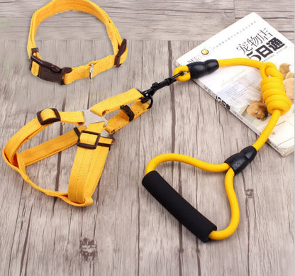 dog chain leash with collar and chest harness