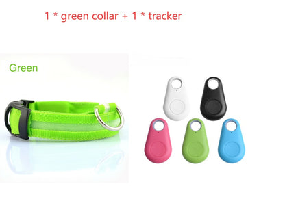 LED light up dog collar with flashing modes