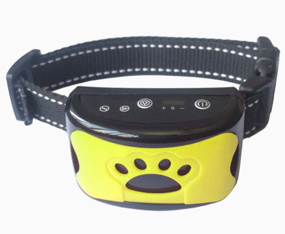 best dog training collar with remote control