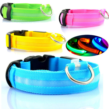 LED light up dog collar with flashing modes