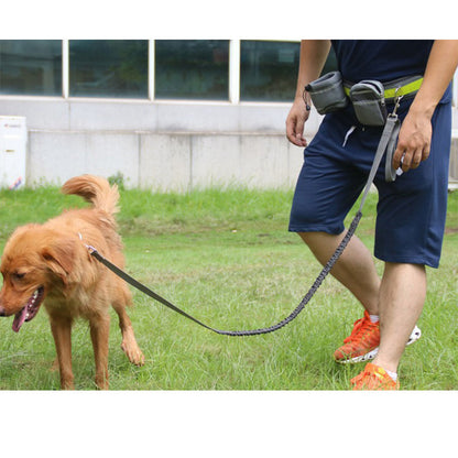 black hands-free dog leash with storage bag
