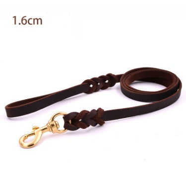 A coiled brown leather dog leash with a gold-colored metal clasp.
