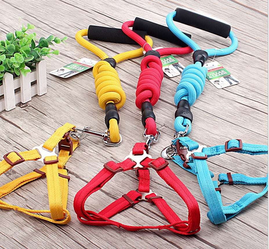 dog chain leash with collar and chest harness