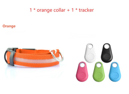 LED light up dog collar with flashing modes