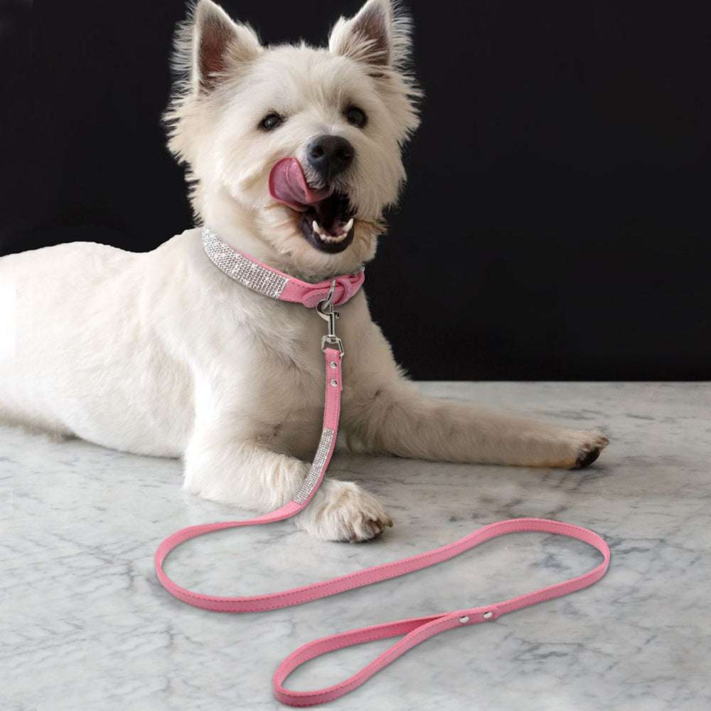 Hot Dog Collar – Shiny Diamond Style for All Seasons (XS–M)