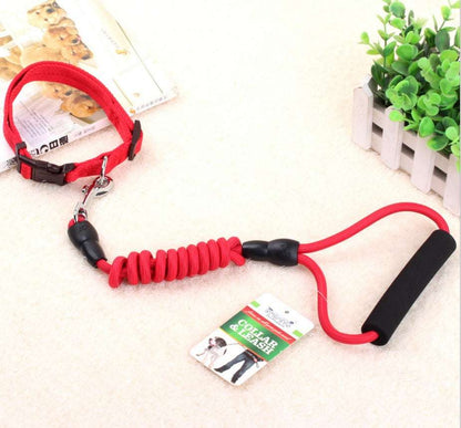 dog chain leash with collar and chest harness