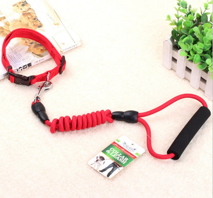 dog chain leash with collar and chest harness
