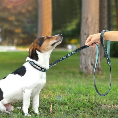 Engraving Anti-Lost Dog Tag Collar – Personalized Leather Puppy Collar