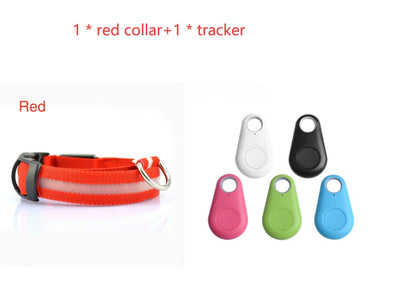 LED light up dog collar with flashing modes