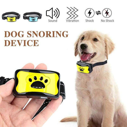 best dog training collar with remote control