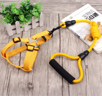 dog chain leash with collar and chest harness